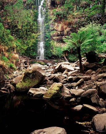 Framed Erskine Falls, Lorne, Victoria, Australia Print