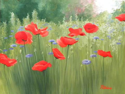Framed Backyard Poppies Print