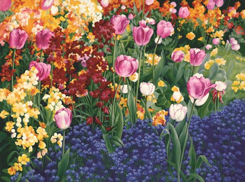 Framed English Tulips Print