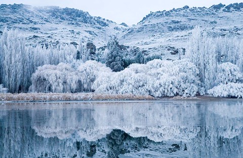 Framed Reflections and Hoar Frost, Butchers Dam, near Alexandra, Central Otago, South Island, New Zealand Print
