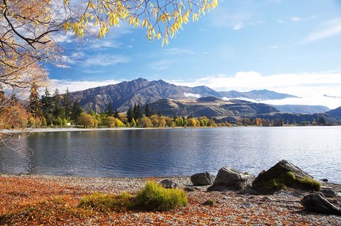 Framed Glendhu Bay, Lake Wanaka, Otago, South Island, New Zealand Print