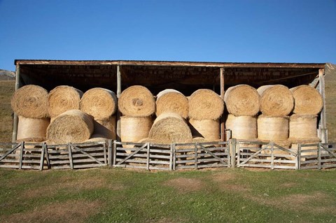 Framed Hay Barn, Ahuriri Valley, North Otago, South Island, New Zealand Print