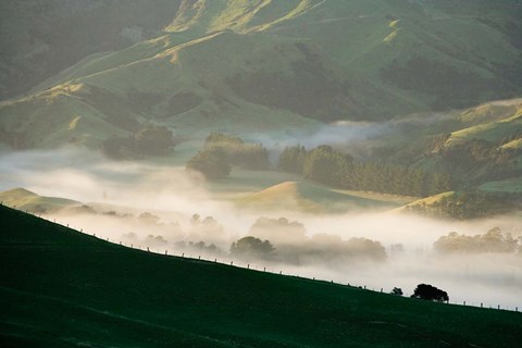 Framed Misty Farmland near Martinborough, Wairarapa, North Island, New Zealand Print