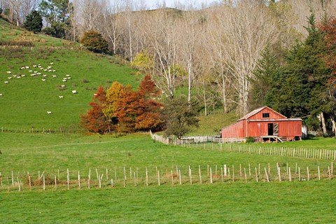 Framed Wool Shed and Farmland, Kawhatau Valley, Rangitikei, North Island, New Zealand Print