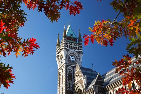 Framed Clock Tower, Dunedin, South Island, New Zealand Print