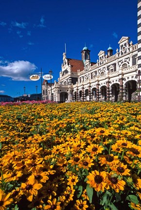 Framed Historic Railway Station and field of flowers, Dunedin, New Zealand Print