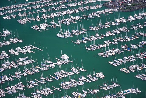 Framed Westhaven Marina, Waitemata Harbor, Auckland Print