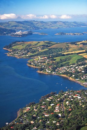 Framed Macandrew Bay, Otago Harbor, Dunedin, New Zealand Print