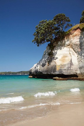 Framed Cathedral Cove, Coromandel Peninsula, North Island, New Zealand Print