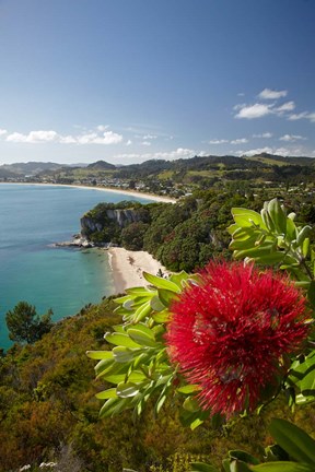 Framed Coastline, Cooks Beach, North Island, New Zealand Print