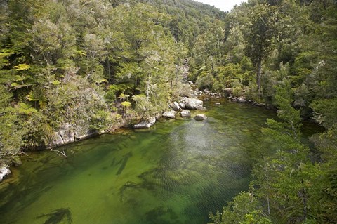 Framed Falls River, Abel Tasman, South Island, New Zealand Print