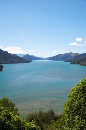 Framed Mahakipawa Arm, South Island, New Zealand Print