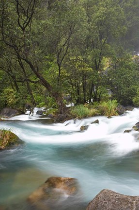 Framed New Zealand, North Island, Rapids on Tarawera River Print