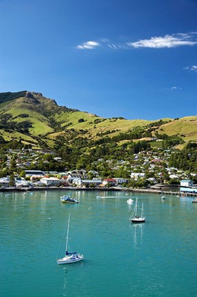 Framed New Zealand, South Island, Canterbury, Akaroa Harbor Print