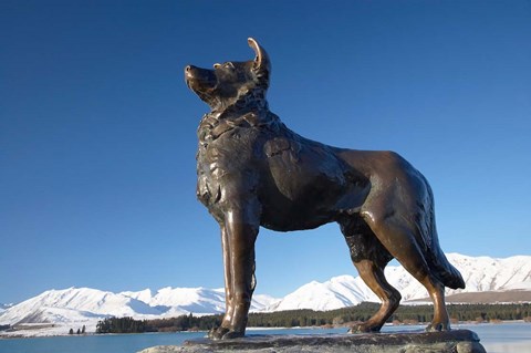 Framed New Zealand, South Island, Lake Tekapo, Sheep Dog Statue Print