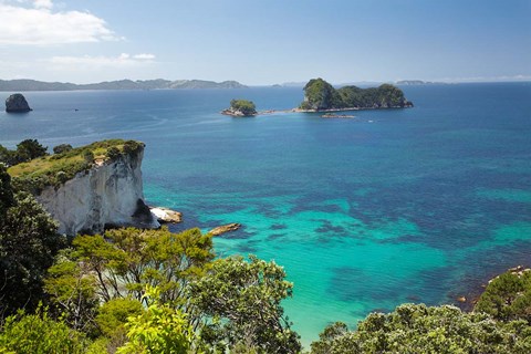 Framed Stingray Bay, Cathedral Cove, North Island, New Zealand Print