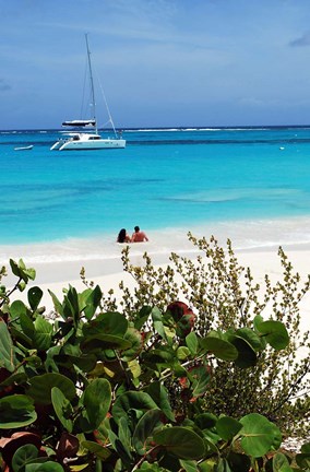 Framed Swimming the waters of Prickly Pear Island with Festiva Sailing Vacations Print