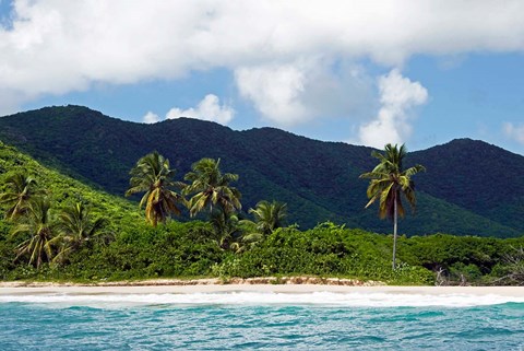 Framed Tobacco Beach, Antigua, West Indies, Caribbean Print