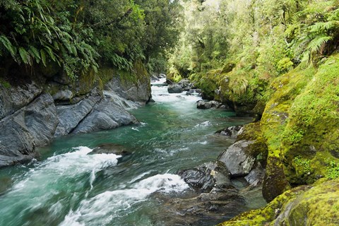 Framed New Zealand, South Island, Crocked River Print