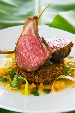 Framed Spiced Lamb Rack cuisine, Antigua, Caribbean Print