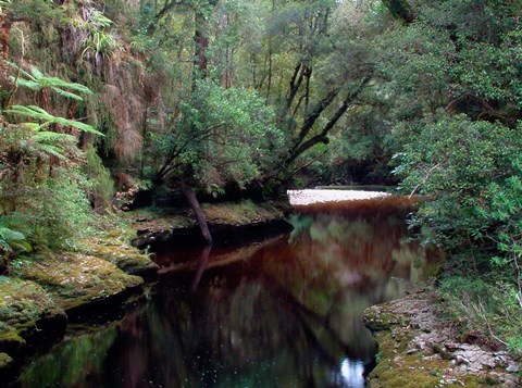 Framed Oparara River, Oparara Basin, New Zealand Print