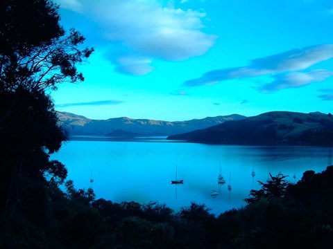 Framed Sailboats at Anchor, Akaroa Peninsula, New Zealand Print