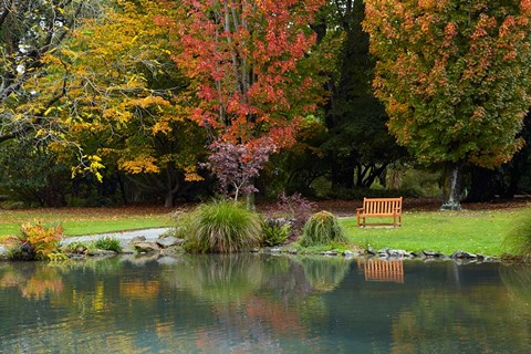 Framed Autumn Color in Hagley Park, Christchurch, Canterbury, New Zealand Print