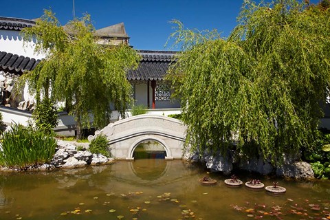 Framed Chinese Gardens, Dunedin, South Island, New Zealand Print