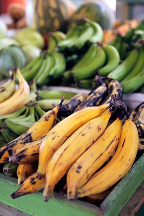 Framed Fresh bananas at the local market in St John&#39;s, Antigua Print