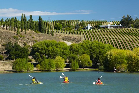 Framed Kayakers and vineyard, Bannockburn Inlet, Lake Dunstan, Central Otago, South Island, New Zealand Print