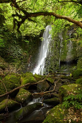 Framed Matai Falls, Catlins, South Otago, South Island, New Zealand Print