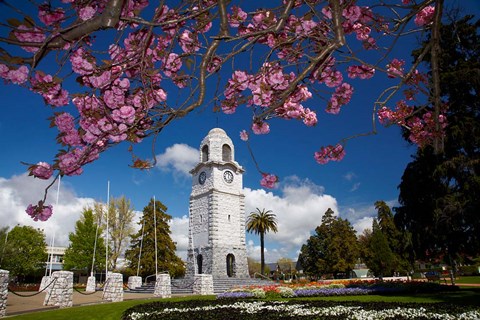 Framed Memorial Clock Tower, Seymour Square, Marlborough, South Island, New Zealand (horizontal) Print