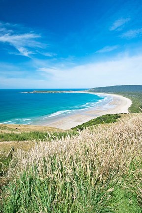 Framed New Zealand, South Island, Catlins, Tautuku Bay Print