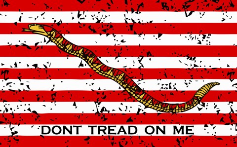 Framed First Navy Jack Print