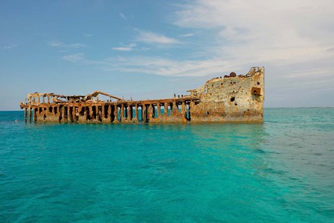 Framed Cement shipwreck, Barnett Harbour, Bahamas Print