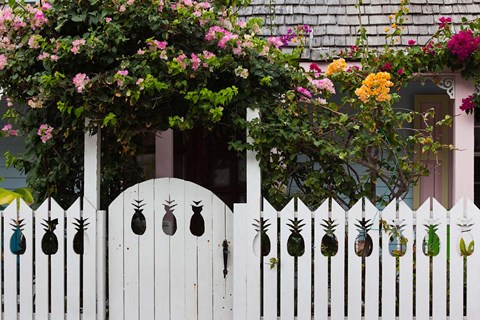 Framed Bahamas, Eleuthera, Harbor Island, Dunmore, House Print