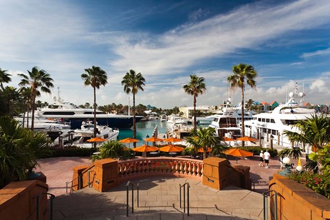 Framed Bahamas, New Providence, Nassau, Paradise Island Print