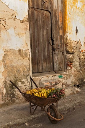 Framed Bananas in wheelbarrow, Havana, Cuba Print