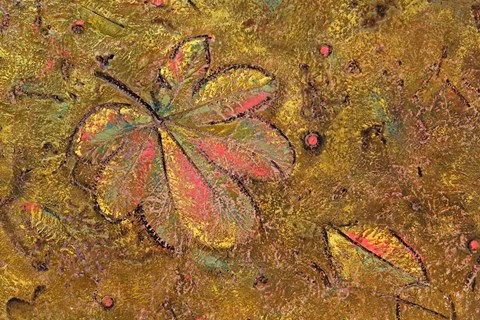 Framed Leaf pattern in wallpaper, Old Havana, Cuba Print