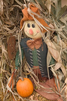 Framed Quaint Village Decorations, Wisconsin Print