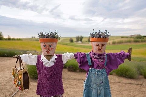 Framed Scarecrows at a lavendar farm in SE Washington Print