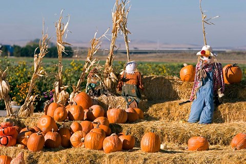 Framed Scarecrows, Fruitland, Idaho Print