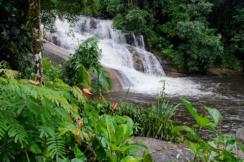 Framed Rainforest waterfall, Serra da Bocaina NP, Parati, Brazil (horizontal) Print
