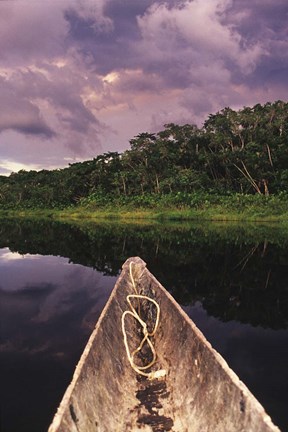 Framed Paddling a dugout canoe on Lake Anangucocha, Yasuni National Park, Amazon basin, Ecuador Print