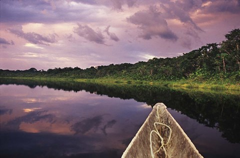 Framed Paddling a dugout canoe, Amazon basin, Ecuador Print