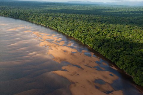Framed Essequibo River, between the Orinoco and Amazon, Iwokrama Reserve, Guyana Print