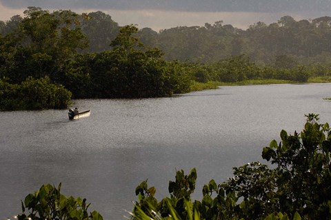 Framed Quichua Indian in Dugout Canoe, Napo River, Amazon Rain Forest, Ecuador Print
