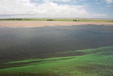 Framed Brazil, Amazon River, Santarem Meeting of the Waters Algae bloom Print