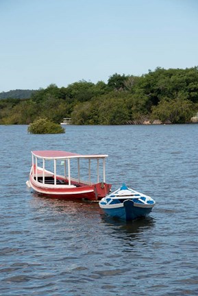 Framed Fishing boats, Amazon, Brazil Print