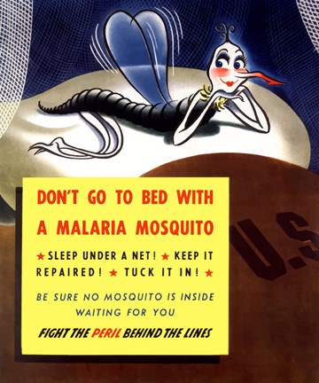 Framed Don&#39;t Go To Bed With A Malaria Mosquito Print